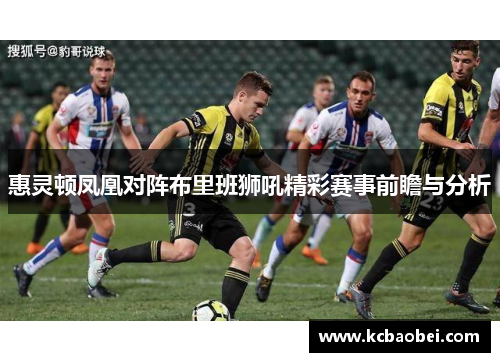 惠灵顿凤凰对阵布里班狮吼精彩赛事前瞻与分析